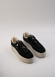 GALA BOLD BLACK