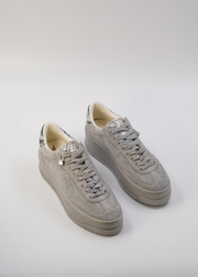 GALA BOLD GREY